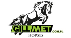 GILMET NOWE 238x130